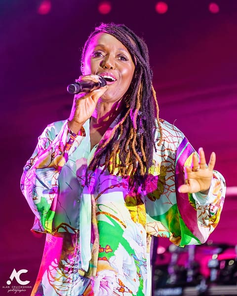 Nile Rodgers Chic at Belladrum 2022 5 480x600 - Nile Rodgers & Chic at Belladrum 2022, In Pictures