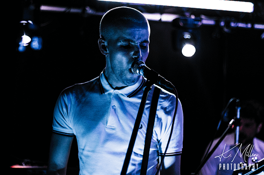 Alligator at Tooth Claw Inverness 0260 530x353 - Tenement TV Tour, 27/4/2019 - Images
