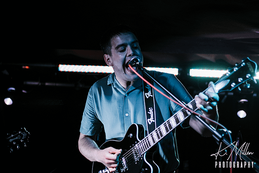 Alligator at Tooth Claw Inverness 0214 530x354 - Tenement TV Tour, 27/4/2019 - Images