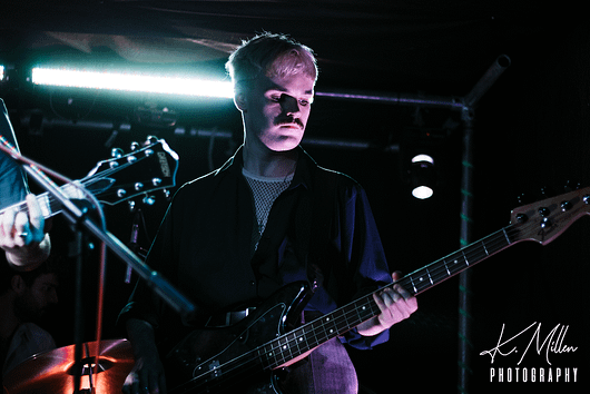 Alligator at Tooth Claw Inverness 0216 530x354 - Tenement TV Tour, 27/4/2019 - Images