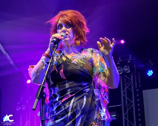The Rezillos Belladrum 20 19 35 530x424 - The Rezillos, Belladrum 2019 - Images