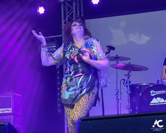 The Rezillos Belladrum 20 19 36 530x424 - The Rezillos, Belladrum 2019 - Images
