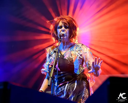 The Rezillos Belladrum 20 19 37 530x424 - The Rezillos, Belladrum 2019 - Images
