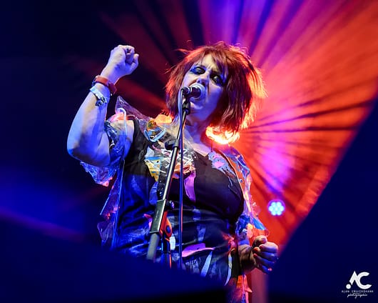 The Rezillos Belladrum 20 19 39 530x424 - The Rezillos, Belladrum 2019 - Images