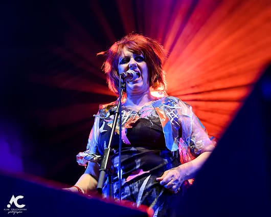 The Rezillos Belladrum 20 19 41 530x424 - The Rezillos, Belladrum 2019 - Images